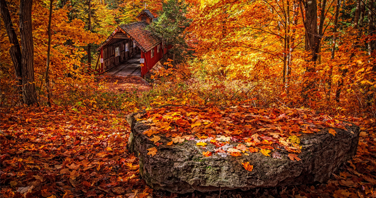 The 11 Best Places to See Michigan's Fall Colors Near Ann Arbor